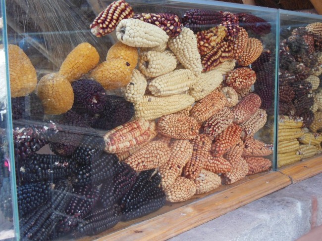 DSCN5757.JPG