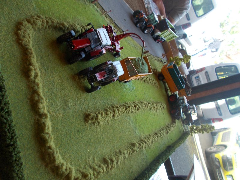 DSCN2071.JPG