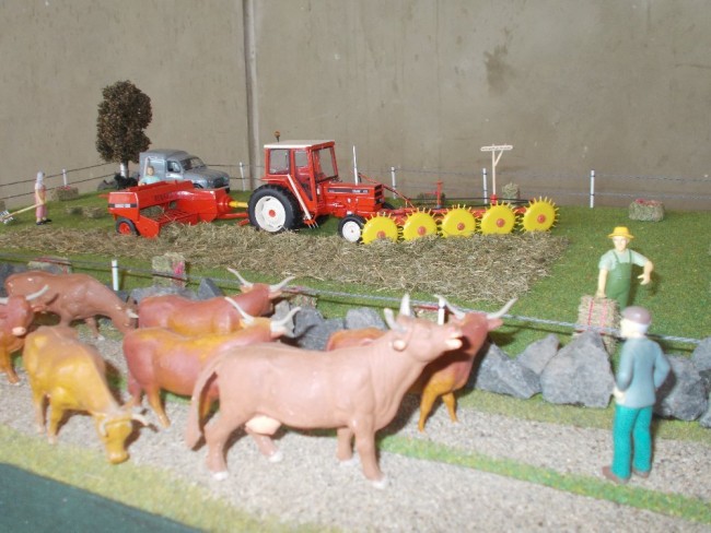 DSCN2090.JPG