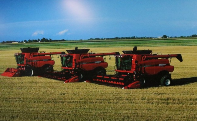 RB0A1722.JPG