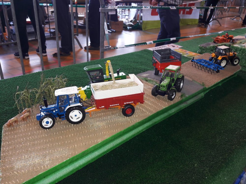 Image9.jpg