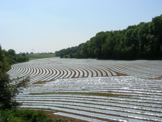 DSCN5514.JPG