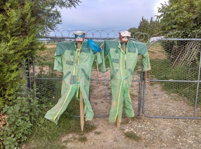 IMAG0856.jpg