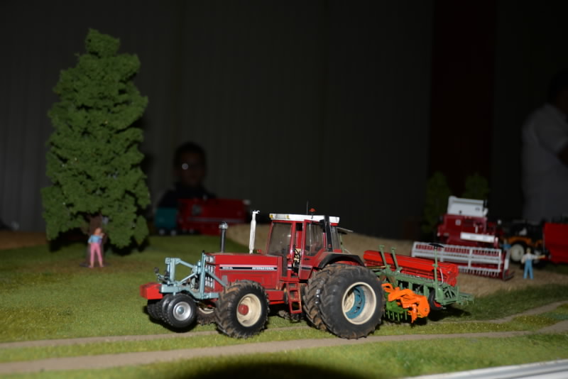 DSC_551920180603_12944.jpg