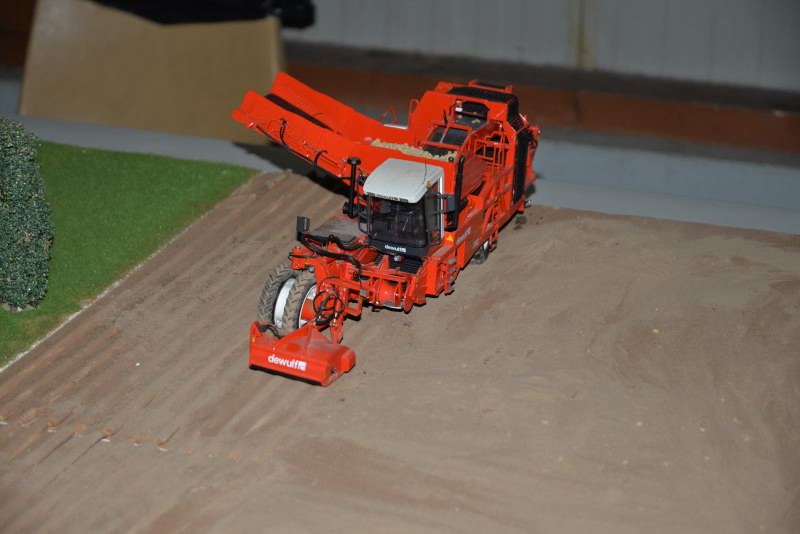 DSC_552120180603_12946.jpg
