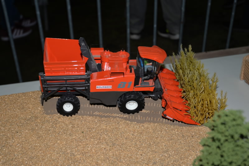 DSC_553720180603_12957.jpg