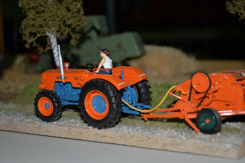 DSC_554120180603_12961.jpg