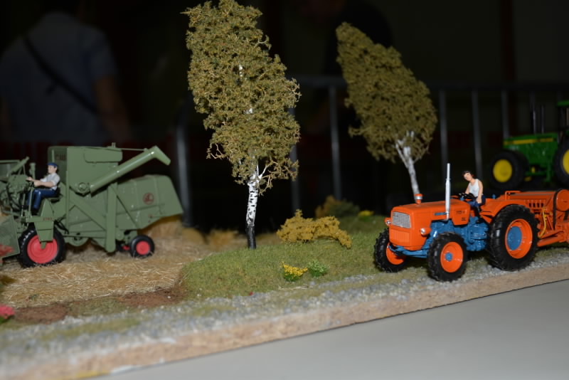DSC_554220180603_12962.jpg