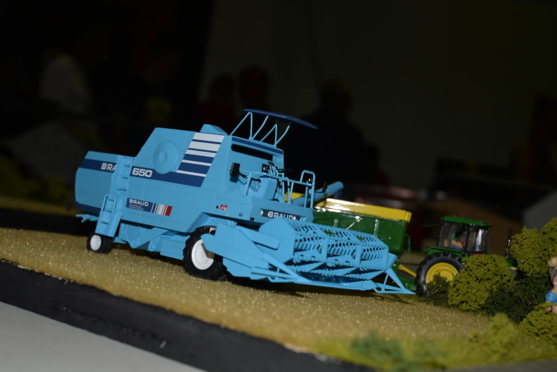 DSC_556320180603_12978.jpg