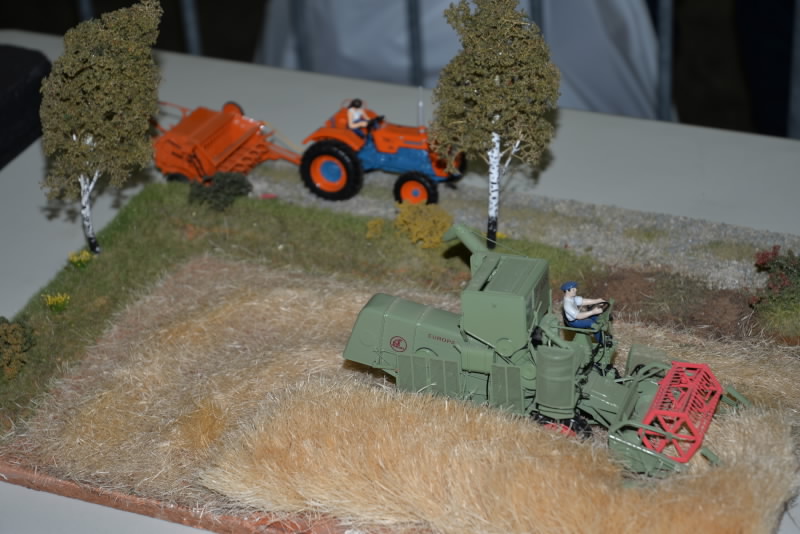 DSC_556820180603_12983.jpg