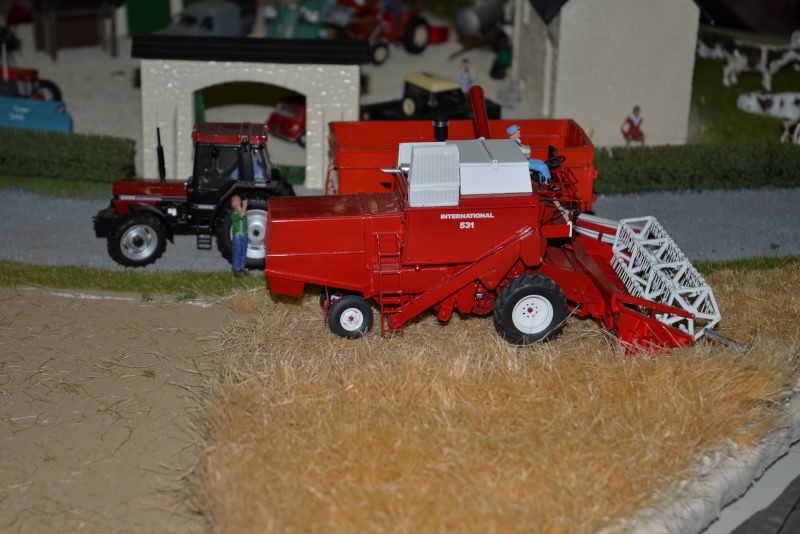 DSC_556920180603_12984.jpg