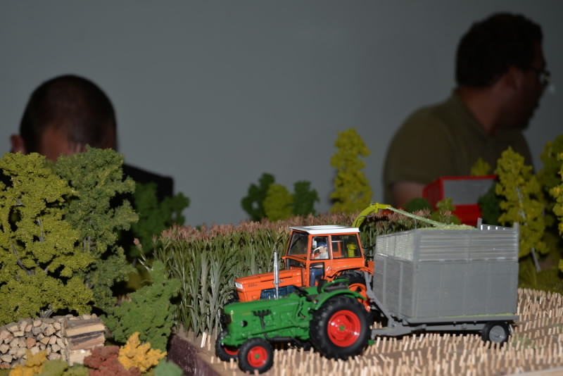 DSC_559320180603_13006.jpg