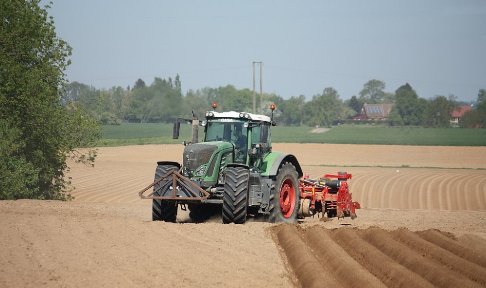Plantation2018 020.JPG