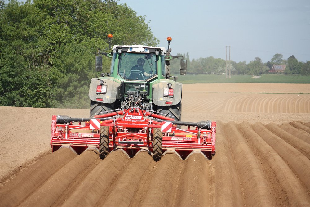 Plantation2018 028.JPG
