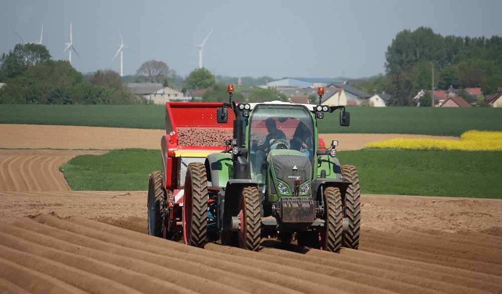 Plantation2018 030.JPG