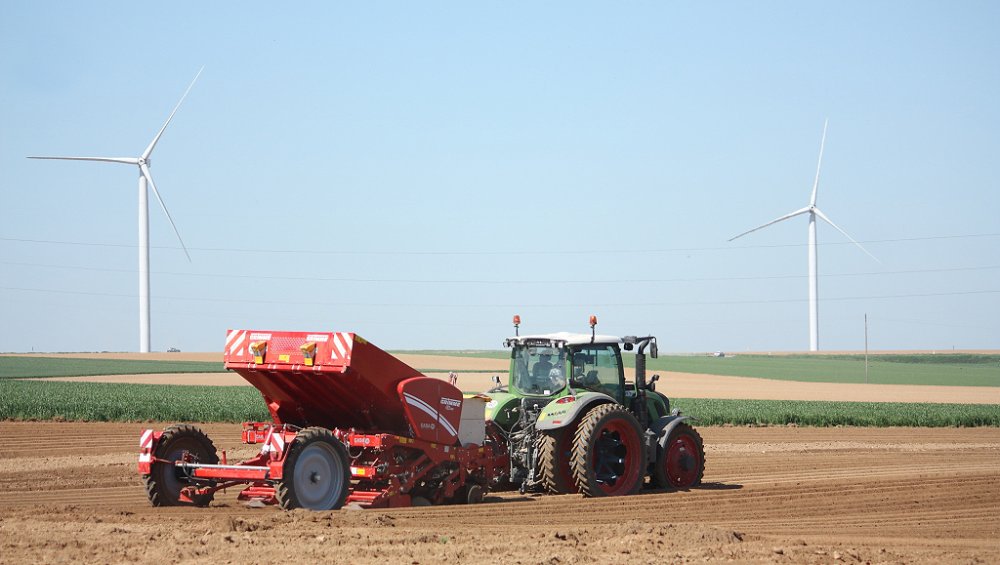 Plantation2018 033.JPG
