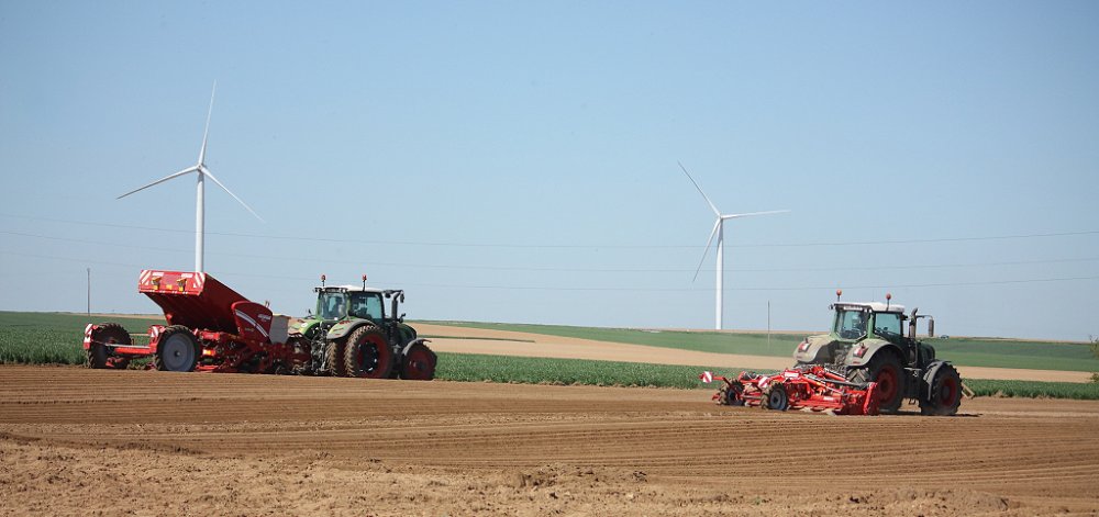 Plantation2018 035.JPG