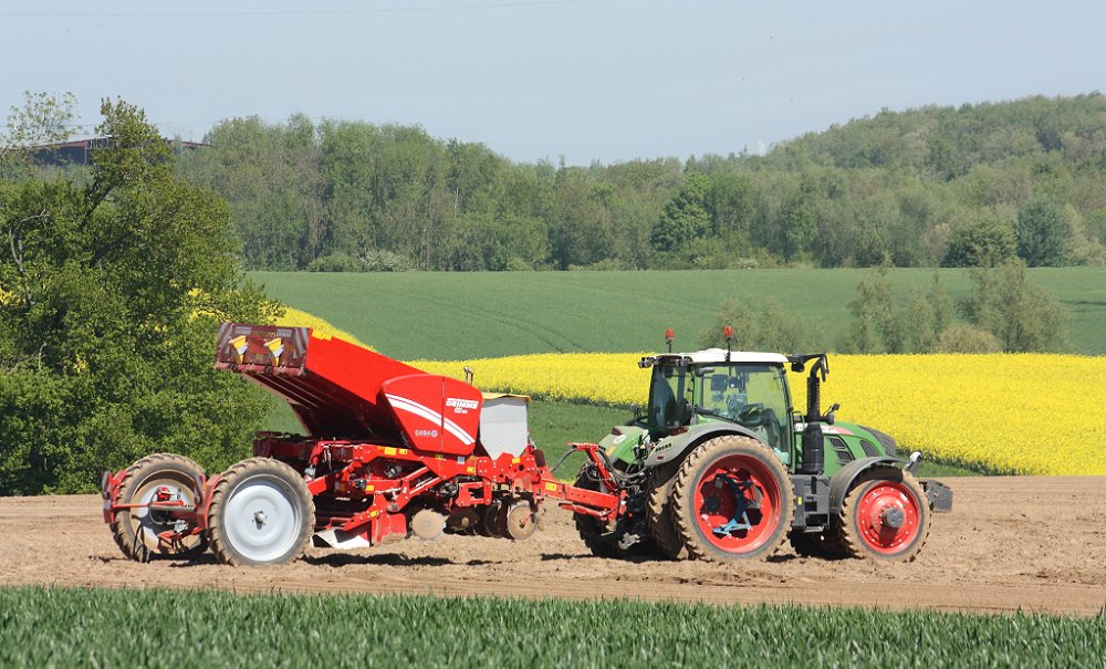 Plantation2018 043.JPG