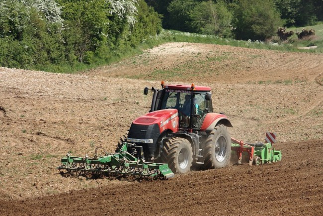 Plantation2018 049.JPG
