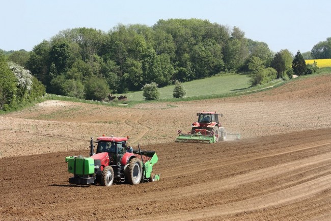 Plantation2018 054.JPG