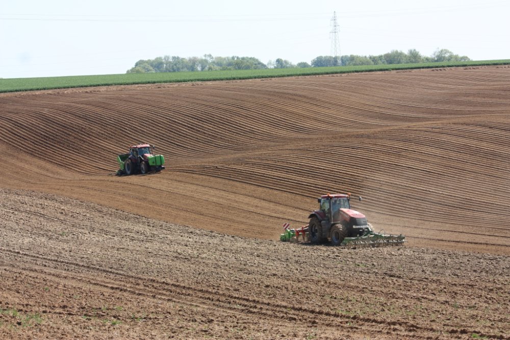 Plantation2018 058.JPG
