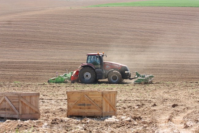 Plantation2018 061.JPG