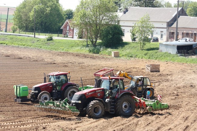 Plantation2018 068.JPG