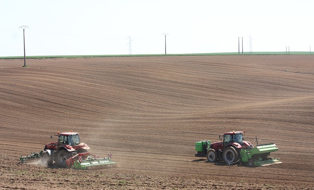 Plantation2018 069.JPG