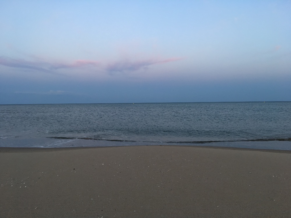 0044F421-AADB-4DF8-836C-3312A88897E0.jpeg