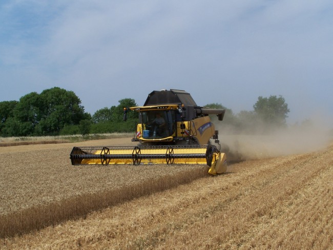 Moisson 2017 019.jpg