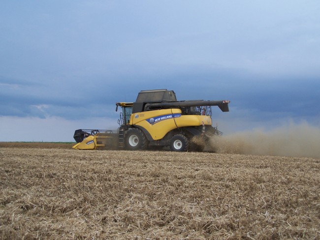 Moisson 2017 029.jpg