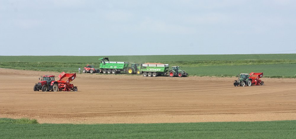 Plantation2018 155.JPG