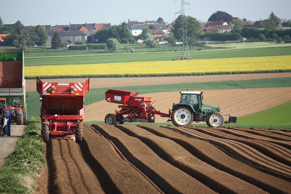 Plantation2018 192.JPG