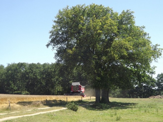DSCF47772.jpg