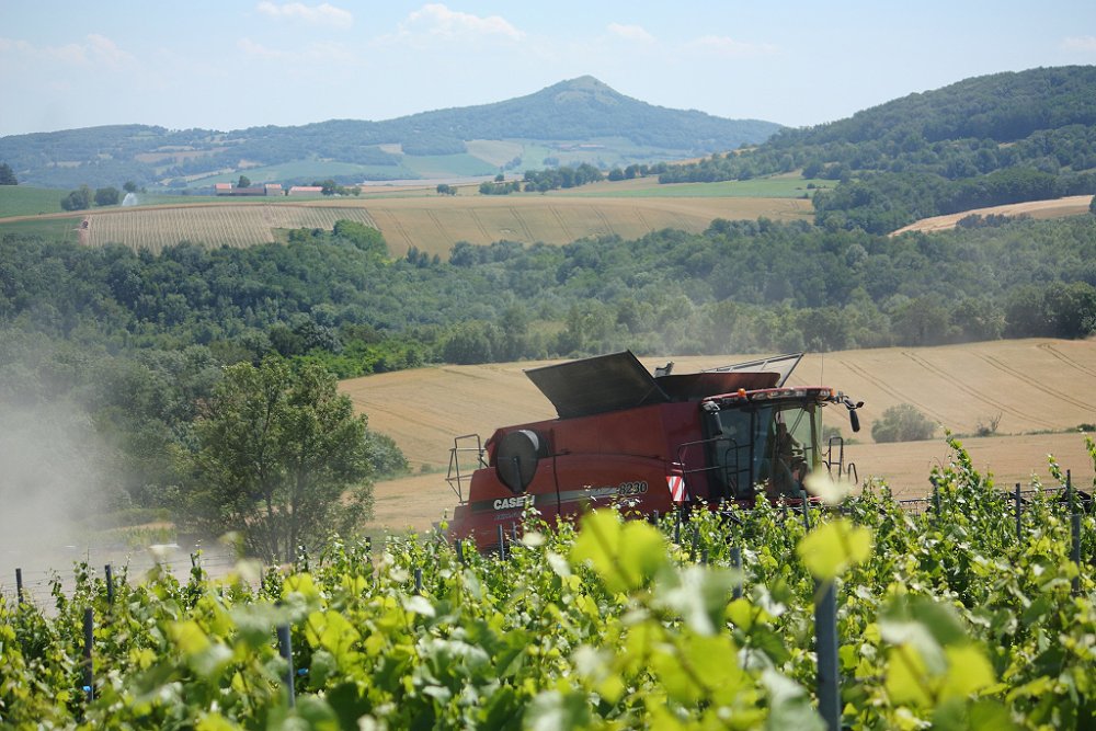 Moisson 2018 006.JPG