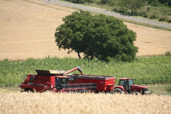 Moisson 2018 021.JPG