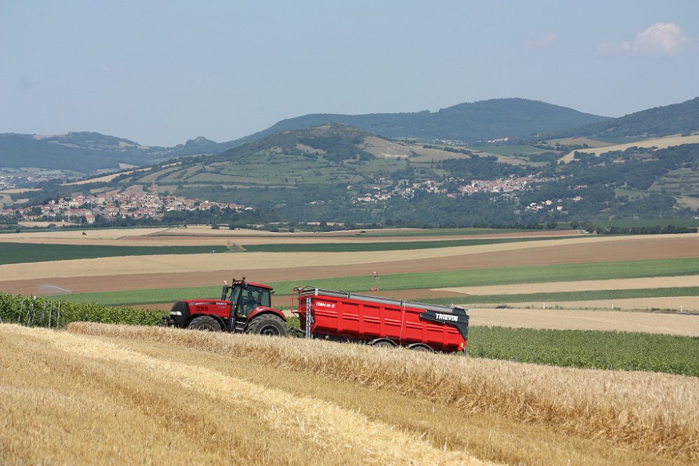 Moisson 2018 024.JPG