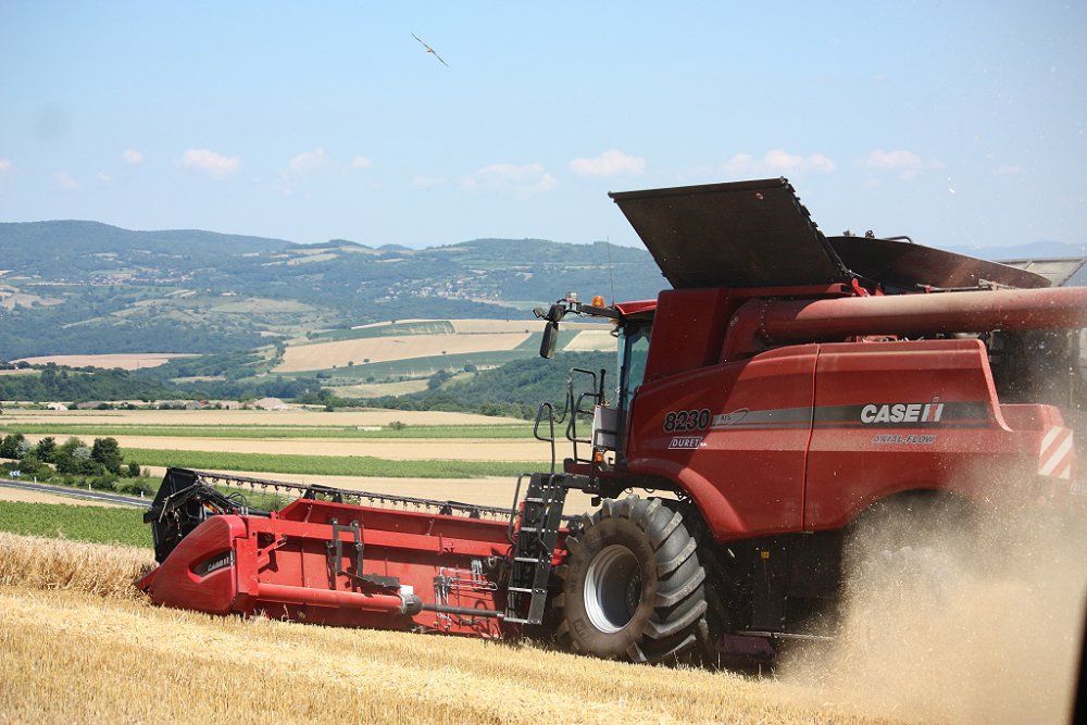 Moisson 2018 029.JPG