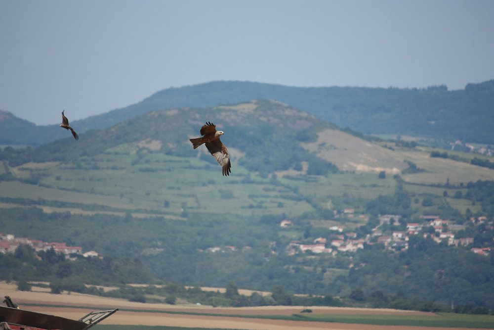 Moisson 2018 033.JPG