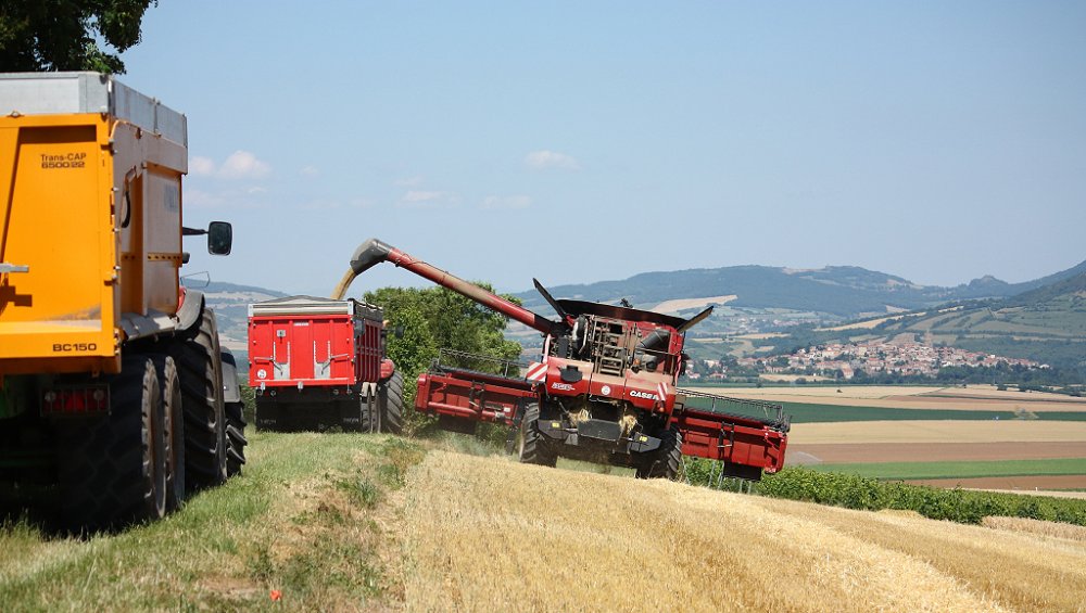 Moisson 2018 038.JPG