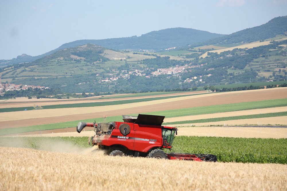 Moisson 2018 040.JPG