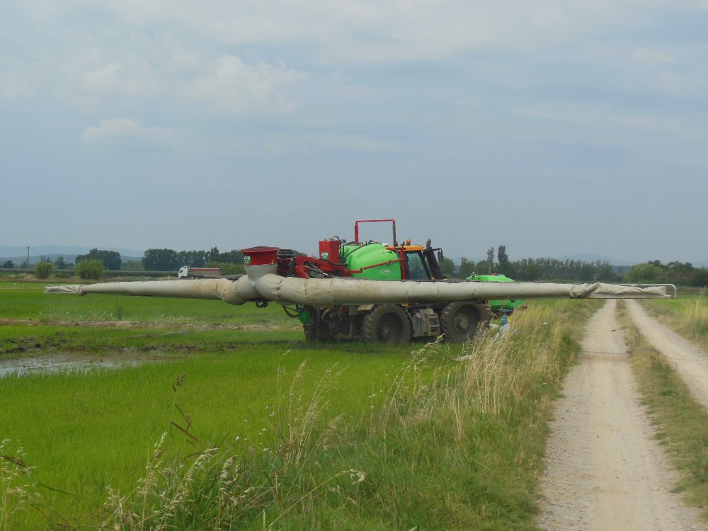 DSCN6447.JPG