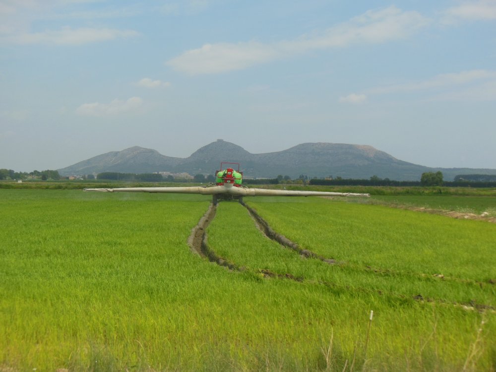 DSCN6450.JPG