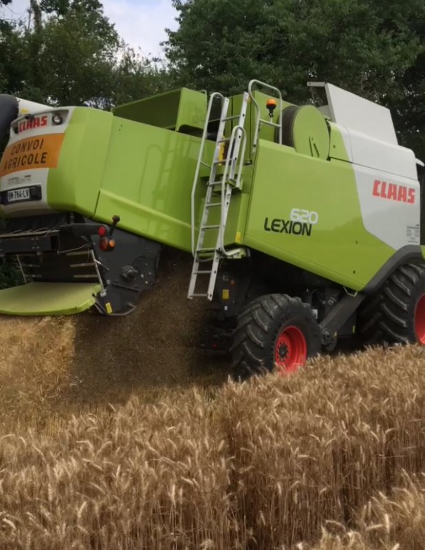 lexion 620.jpg