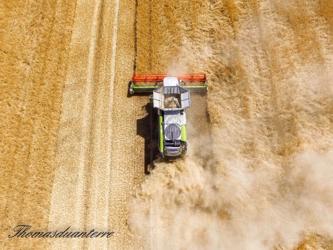 DJI_0505.jpg