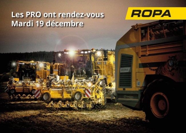 ropa.jpg