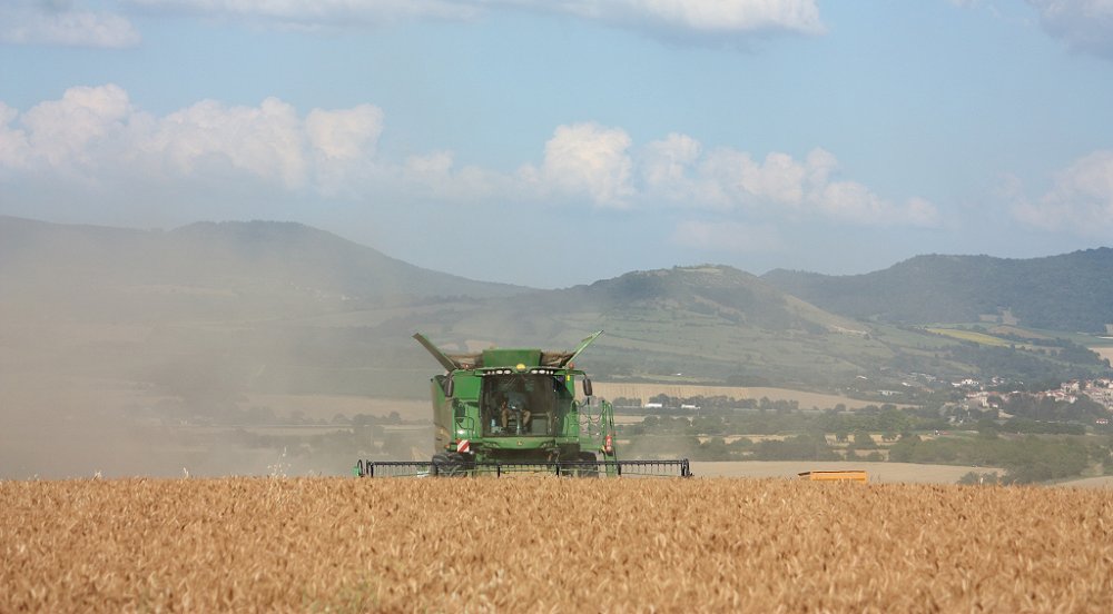 Moisson 2018 085.JPG