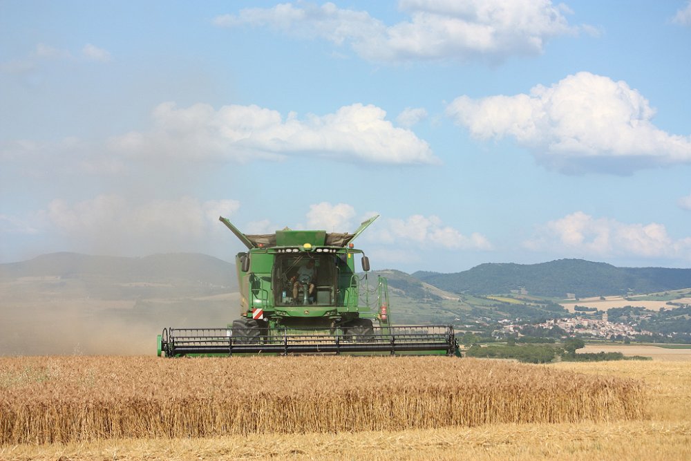 Moisson 2018 087.JPG