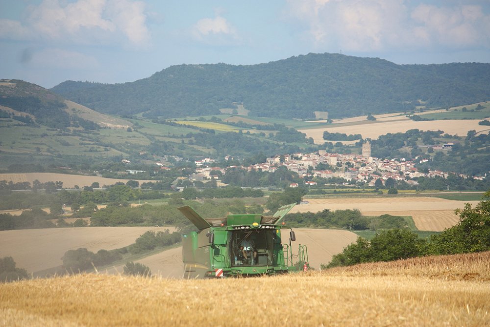 Moisson 2018 095.JPG