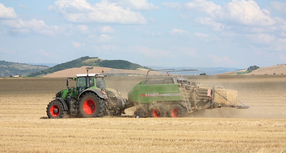 Moisson 2018 069.JPG